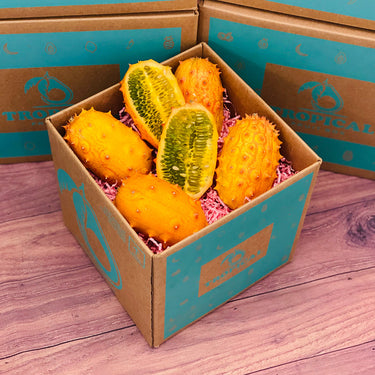 Kiwano Melon BoxRegular (5 Pounds)
